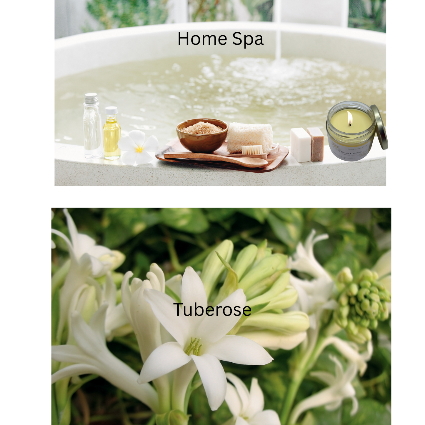 Tuberose & Vanilla Clean Burn Scented Candle Elegant Moon | Romantic & Relaxation Home Spa Candle